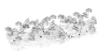 Les chemins dans les parcs des talus.