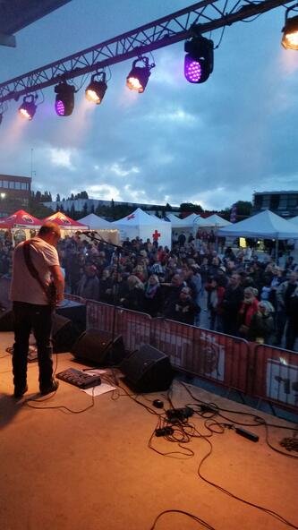 Rock Oasis, editie 2015. 